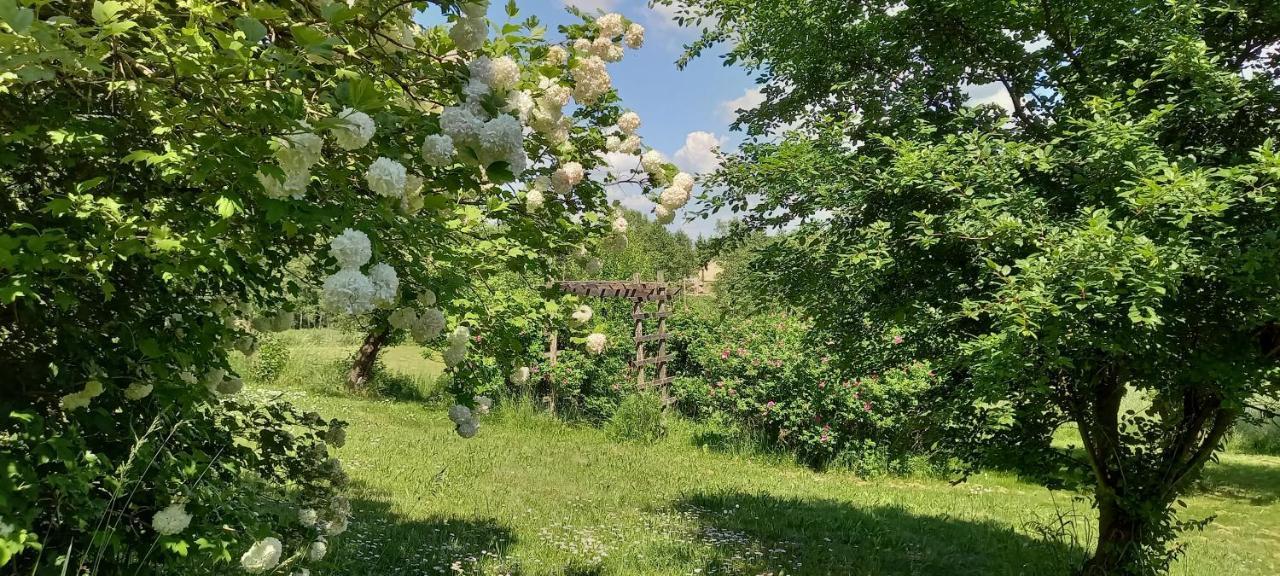 Dom Goscinny Lerka - 240 M2 Mazury Jeziora Lasy Lakorz Exterior foto